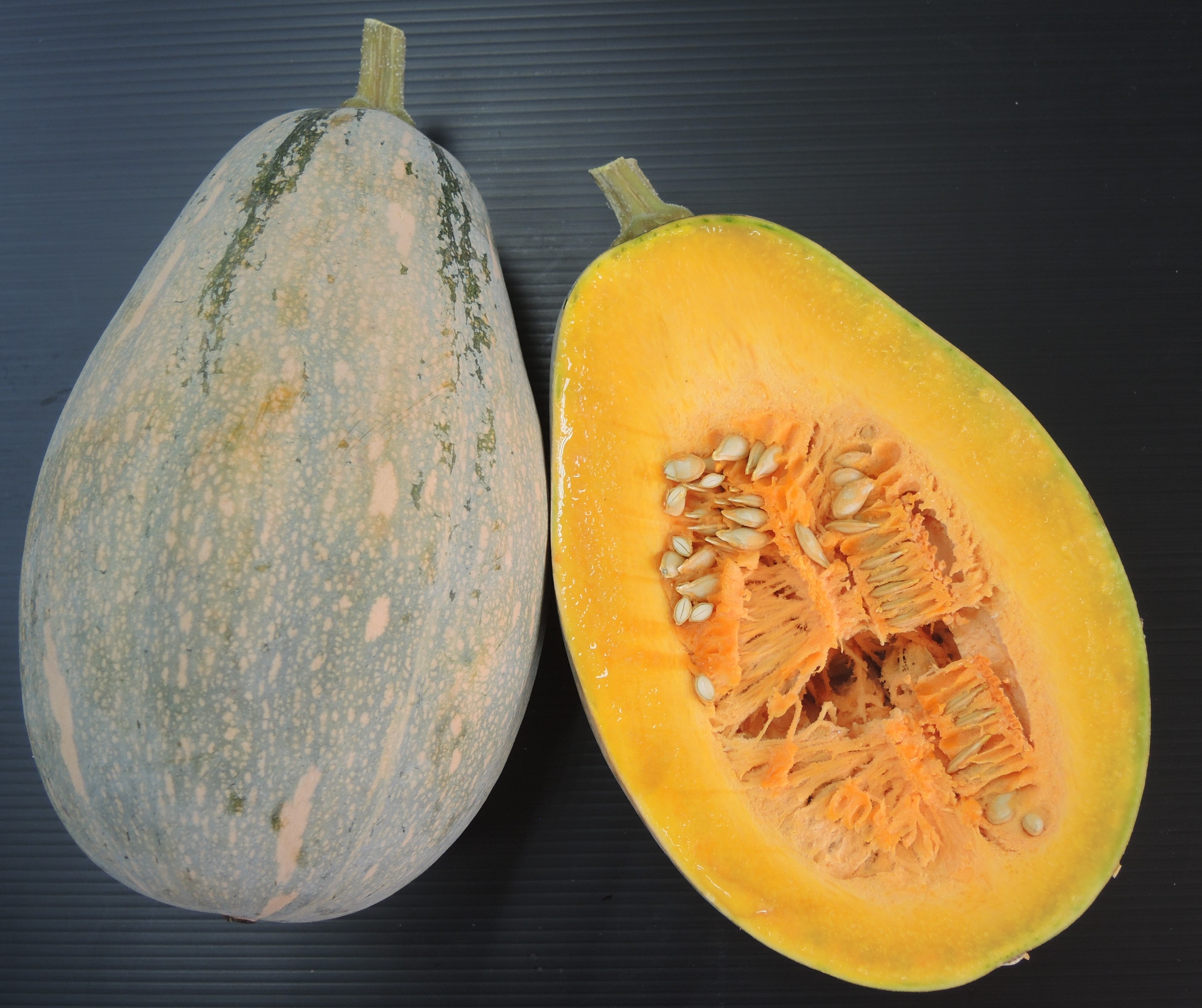 南瓜 Pumpkin F1 HYBRID SEED