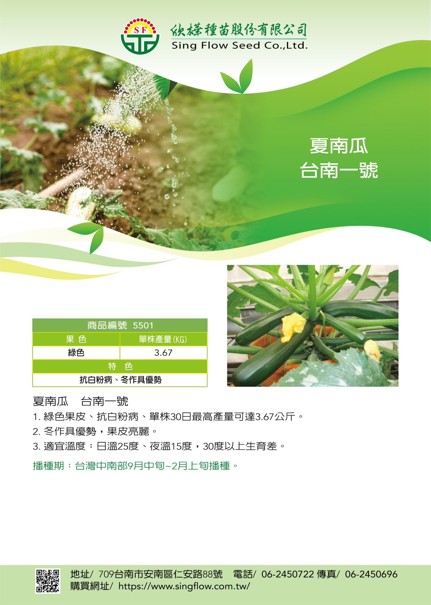 <少量現貨>夏南瓜 臺南1號(綠皮)(2901)