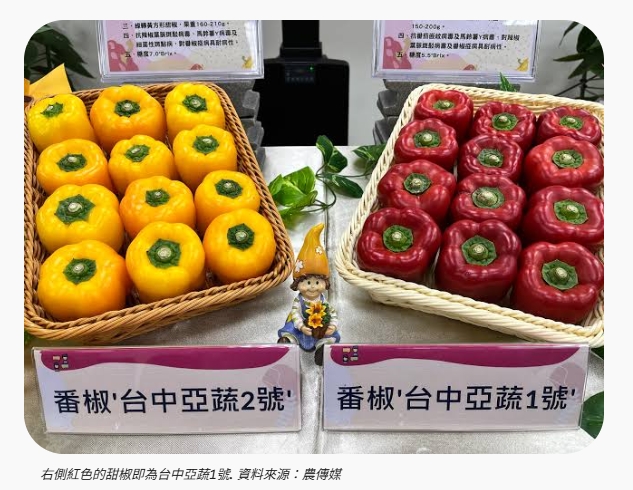 甜椒 台中亞蔬